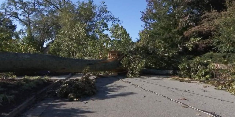 SCDOT crews clearing roads after Helene, but warn work could take several weeks