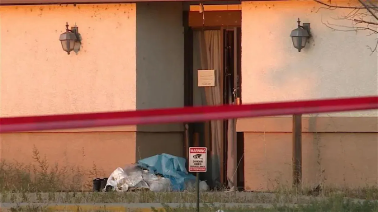 SNEAK PEEK: KRDO13’s Tyler Cunnington featured in Return to Nature documentary