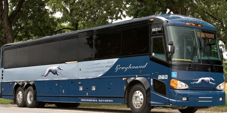 NCDOT: Asheville bus service resumes year after Helene