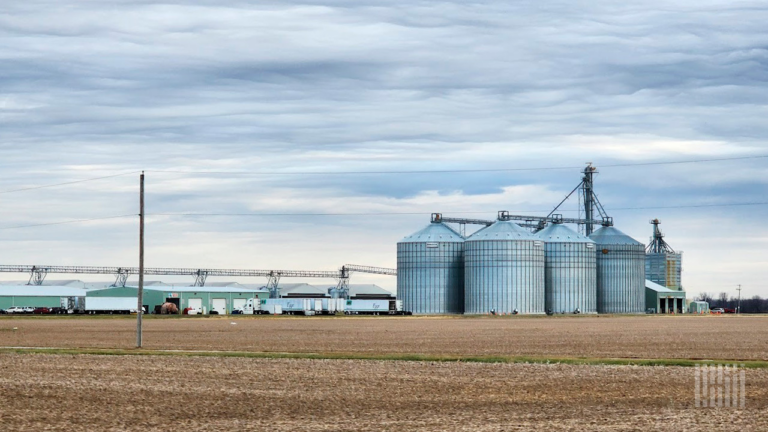 What Brazil’s ‘Egg King’ Buying Hillandale Farms Means for US Eggs and Freight