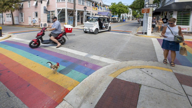 Florida cities ordered to remove rainbow crosswalks celebrating LGBTQ pride