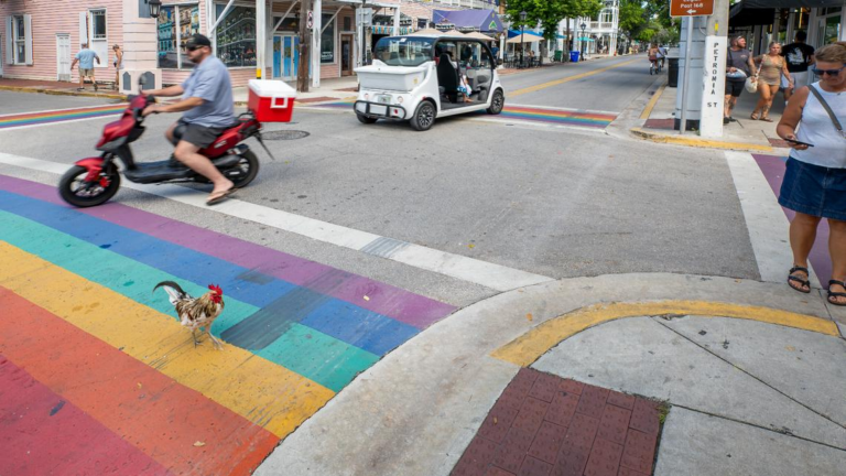 Florida cities face deadlines to remove rainbow crosswalks