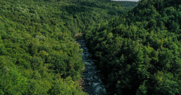 MDOT announces plan to expand Maryland’s trail system