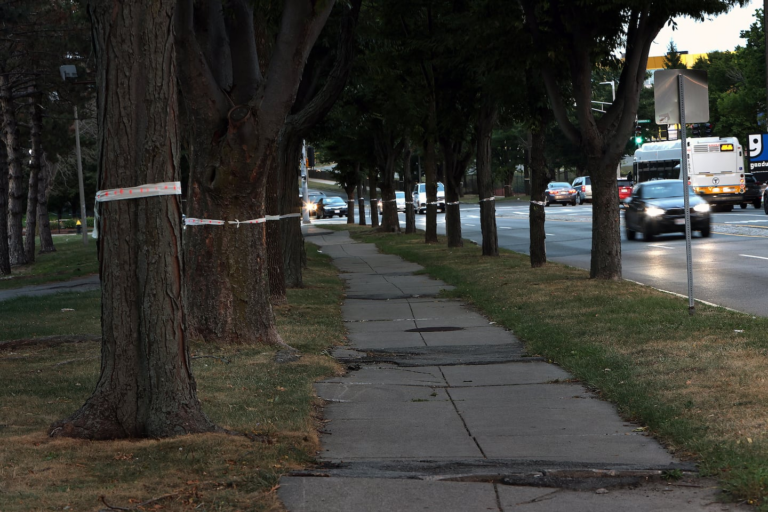 Federal government pulls $22 million in grants for projects in Roxbury and Mattapan