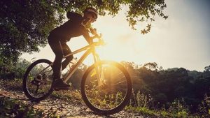 Why quality bike forks are essential for off-road cycling