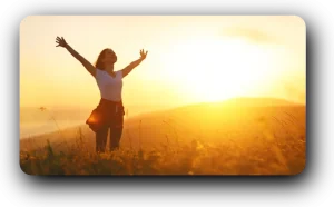 Nature Turns Up The Sunshine